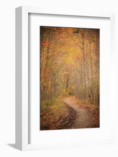 Winding Autumn Path-Michael Hudson-Framed Art Print