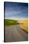 Winding Back Country Road through Winter and Spring Wheat Fields-Terry Eggers-Stretched Canvas