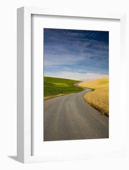 Winding Back Country Road through Winter and Spring Wheat Fields-Terry Eggers-Framed Photographic Print
