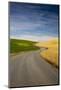 Winding Back Country Road through Winter and Spring Wheat Fields-Terry Eggers-Mounted Photographic Print