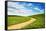 Winding backroad through Spring wheat fields, USA, Washington State, Palouse Region-Terry Eggers-Framed Stretched Canvas