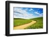 Winding backroad through Spring wheat fields, USA, Washington State, Palouse Region-Terry Eggers-Framed Photographic Print