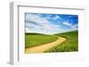 Winding backroad through Spring wheat fields, USA, Washington State, Palouse Region-Terry Eggers-Framed Photographic Print