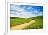 Winding backroad through Spring wheat fields, USA, Washington State, Palouse Region-Terry Eggers-Framed Photographic Print