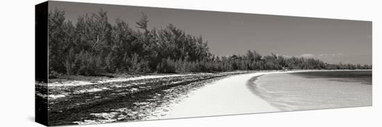 Winding Bay II BW Panel-Larry Malvin-Stretched Canvas