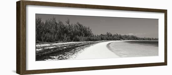 Winding Bay II BW Panel-Larry Malvin-Framed Photographic Print