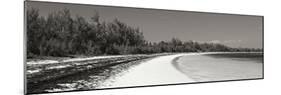 Winding Bay II BW Panel-Larry Malvin-Mounted Photographic Print