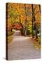 Winding Country Road In Autumn-krisrobin-Stretched Canvas