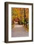 Winding Country Road In Autumn-krisrobin-Framed Photographic Print