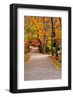 Winding Country Road In Autumn-krisrobin-Framed Photographic Print