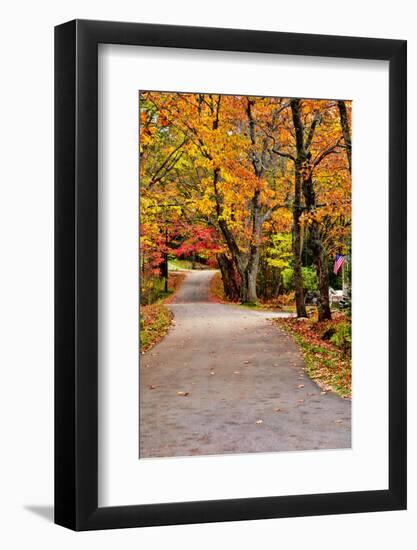 Winding Country Road In Autumn-krisrobin-Framed Photographic Print