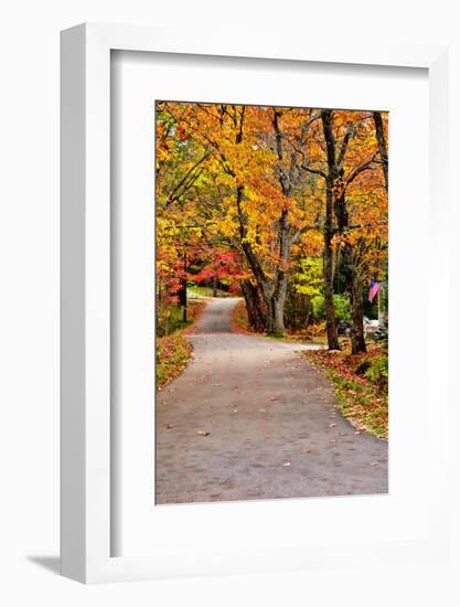 Winding Country Road In Autumn-krisrobin-Framed Photographic Print