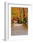 Winding Country Road In Autumn-krisrobin-Framed Photographic Print