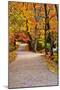 Winding Country Road In Autumn-krisrobin-Mounted Photographic Print