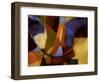 Winding Down-Ruth Palmer 2-Framed Art Print