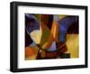 Winding Down-Ruth Palmer 2-Framed Art Print