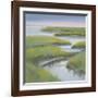 Winding Everglade-Don Almquist-Framed Giclee Print