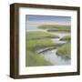 Winding Everglade-Don Almquist-Framed Art Print