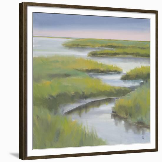 Winding Everglade-Don Almquist-Framed Art Print