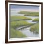 Winding Everglade-Don Almquist-Framed Art Print