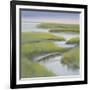 Winding Everglade-Don Almquist-Framed Art Print