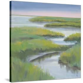 Winding Everglade-Don Almquist-Stretched Canvas