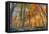 Winding Hills Park-Robert Goldwitz-Framed Stretched Canvas