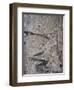 Winding Mountain Path, Near Passu, Bojal, Pakistan, Asia-Upperhall Ltd-Framed Photographic Print