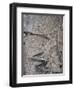 Winding Mountain Path, Near Passu, Bojal, Pakistan, Asia-Upperhall Ltd-Framed Photographic Print