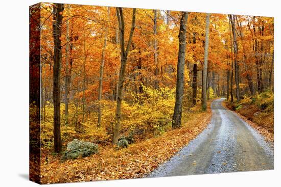 Winding Mountain Road in Autumn-JuneJ-Stretched Canvas