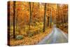 Winding Mountain Road in Autumn-JuneJ-Stretched Canvas