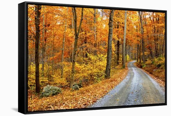 Winding Mountain Road in Autumn-JuneJ-Framed Stretched Canvas