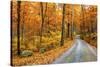 Winding Mountain Road in Autumn-JuneJ-Stretched Canvas