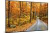 Winding Mountain Road in Autumn-JuneJ-Mounted Photographic Print