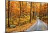 Winding Mountain Road in Autumn-JuneJ-Mounted Photographic Print