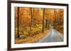 Winding Mountain Road in Autumn-JuneJ-Framed Photographic Print