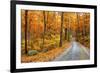 Winding Mountain Road in Autumn-JuneJ-Framed Photographic Print