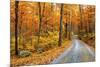 Winding Mountain Road in Autumn-JuneJ-Mounted Photographic Print