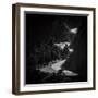 Winding Mountain Road in Black and White-Bryce Eilenberg-Framed Photographic Print