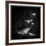 Winding Mountain Road in Black and White-Bryce Eilenberg-Framed Photographic Print