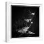 Winding Mountain Road in Black and White-Bryce Eilenberg-Framed Photographic Print