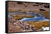 Winding Partially Frozen Water Near the Saciel Sulfur Refinery, Chile-Mallorie Ostrowitz-Framed Stretched Canvas