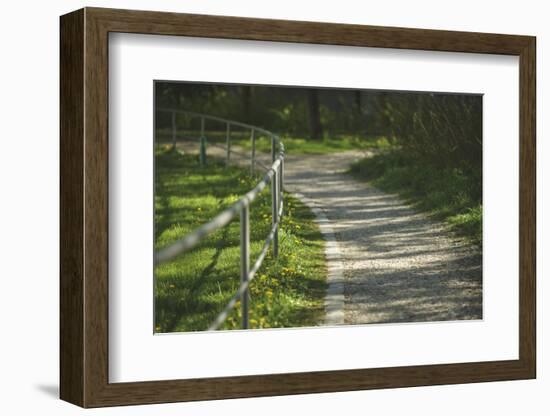 winding path-Benjamin Engler-Framed Photographic Print