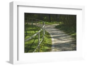 winding path-Benjamin Engler-Framed Photographic Print