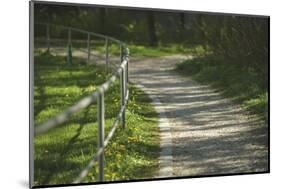 winding path-Benjamin Engler-Mounted Photographic Print