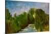 Winding River, 2009-Patricia Brintle-Stretched Canvas