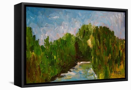 Winding River, 2009-Patricia Brintle-Framed Stretched Canvas