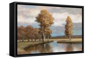 Winding River I-T.C. Chiu-Framed Stretched Canvas