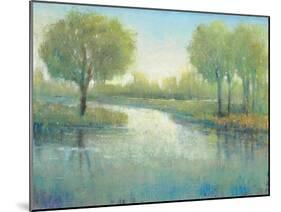 Winding River II-Tim O'toole-Mounted Art Print