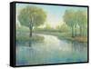 Winding River II-Tim O'toole-Framed Stretched Canvas